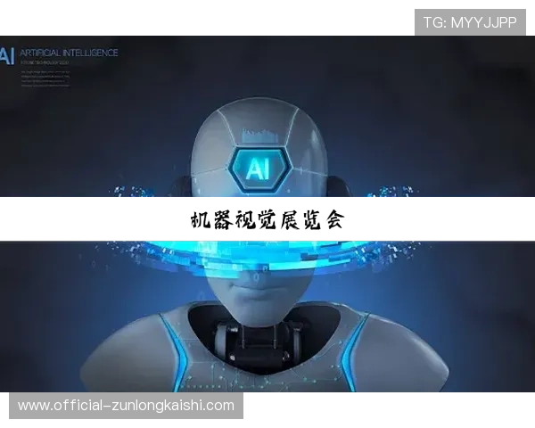 探索凯时尊龙官网网址的功能特点与服务项目深度揭秘