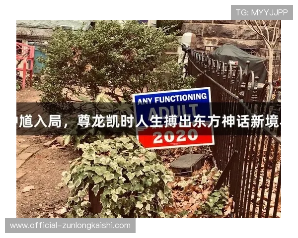 探索尊龙凯时人生就是搏ag中的无限可能